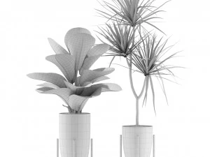 植物コレクション 352 3Dモデル