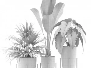 植物コレクション 352 3Dモデル