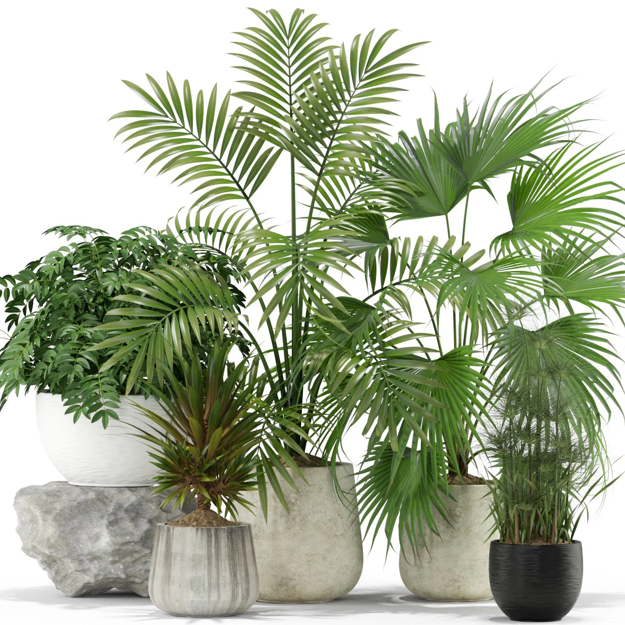 Plants collection 353 3D Model .c4d .max .obj .3ds .fbx .stl .blend 