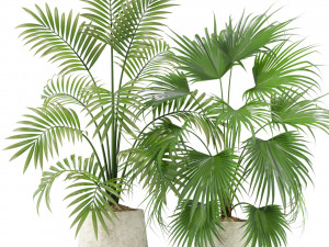 Plants collection 353 Modelo 3D