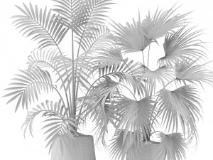 Plants collection 353 3D Model