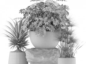 Plants collection 353 3D Model