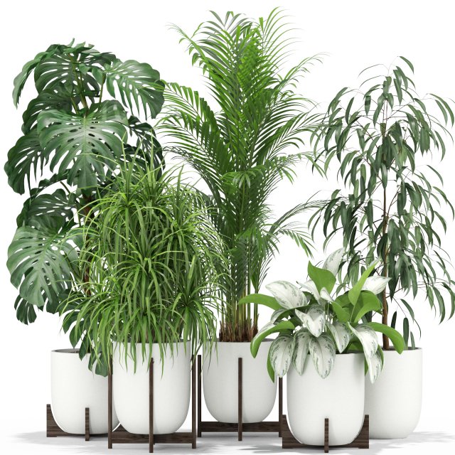 Plants collection 354 3D Model .c4d .max .obj .3ds .fbx .stl .blend 