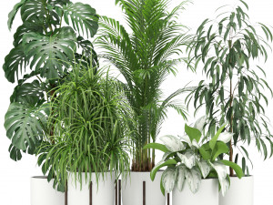 Plants collection 354 3D Model