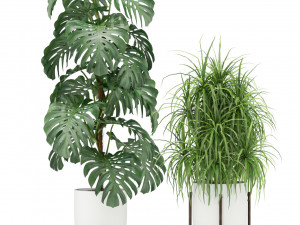Plants collection 354 3D Model