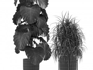 Plants collection 354 3D Model