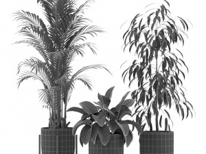 Plants collection 354 3D Model