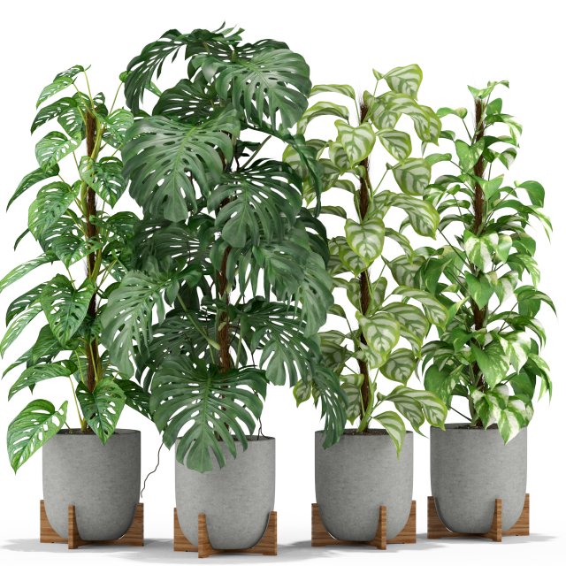 Plants collection 355 3D Модель .c4d .max .obj .3ds .fbx .stl .blend 