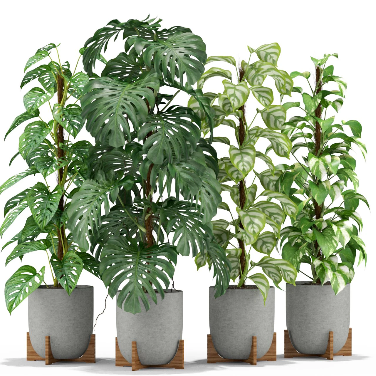 Plants collection 355 3D Model .c4d .max .obj .3ds .fbx .stl .blend 