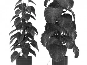 Plants collection 355 3D Model