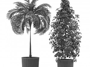 Plants collection 356 3D-Modell
