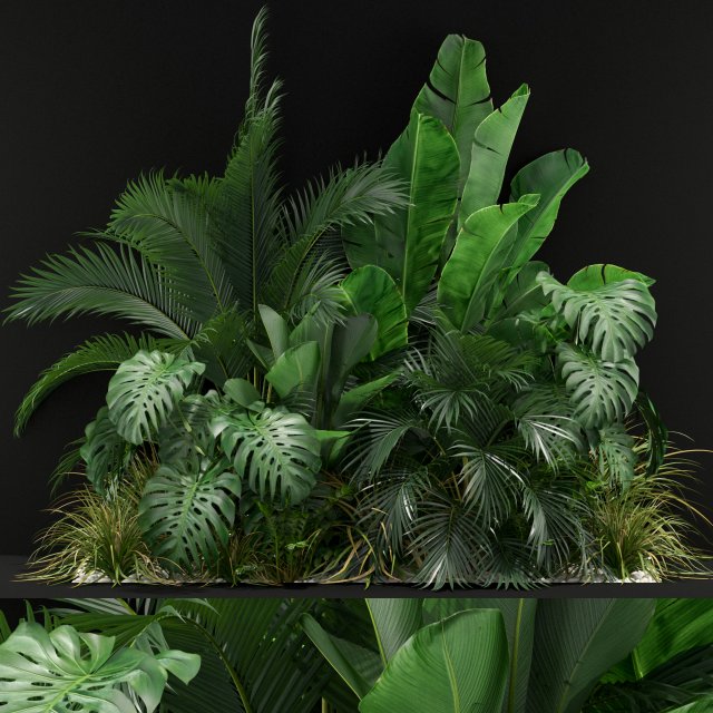 Plants collection 357 3D Модель .c4d .max .obj .3ds .fbx .stl .blend