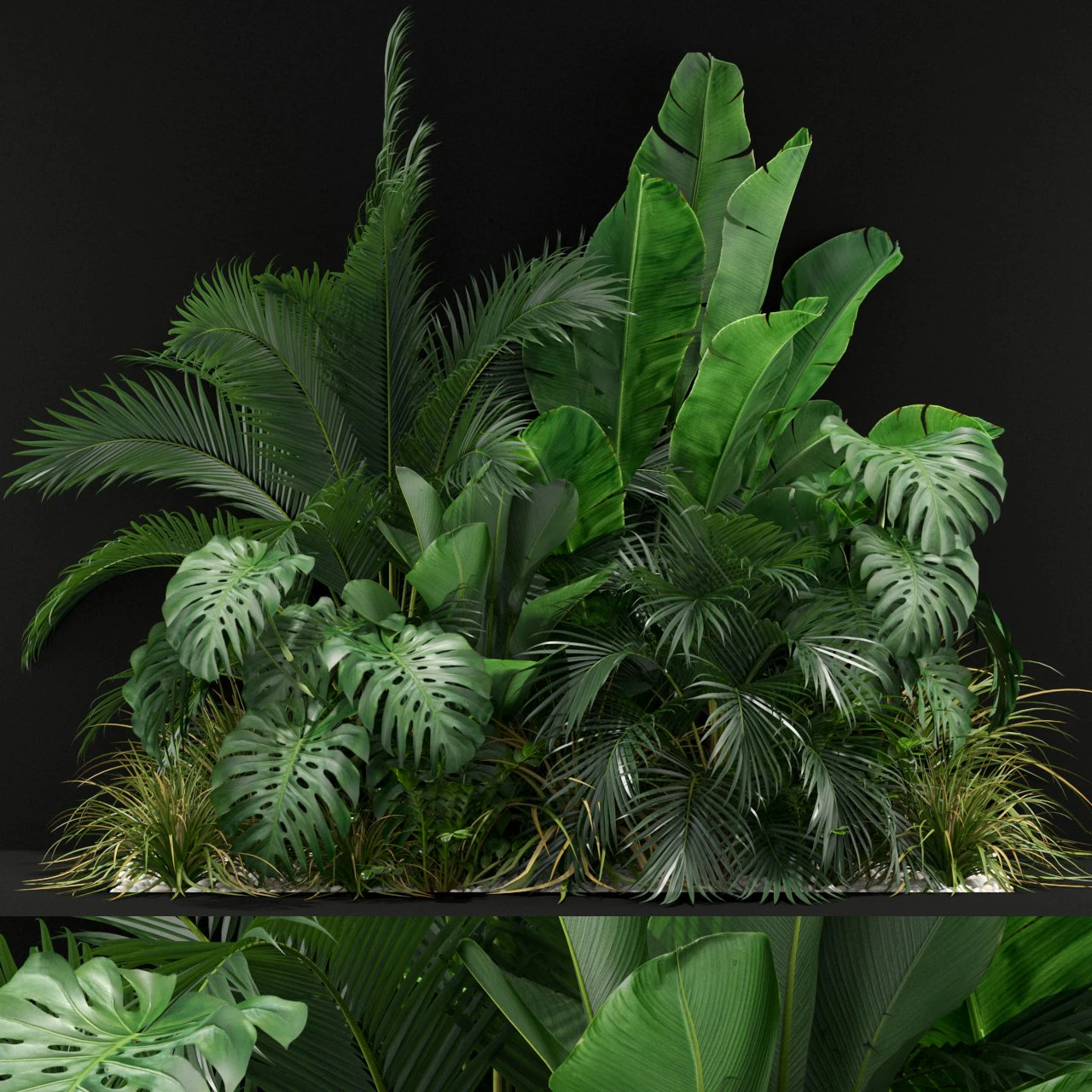 Plants collection 357 3D Model .c4d .max .obj .3ds .fbx .stl .blend