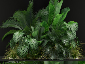 Plants collection 357 Modèle 3D
