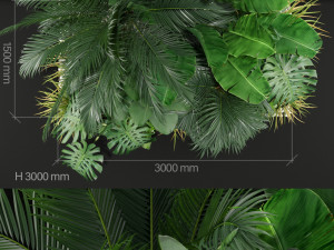 Plants collection 357 3D Модель