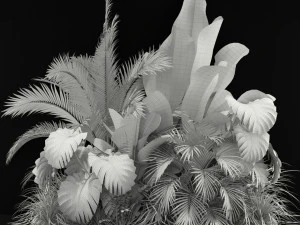 Plants collection 357 3D Model