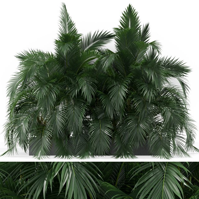 Plants collection 358 3Dモデル .c4d .max .obj .3ds .fbx .stl .blend 