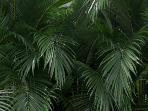 Plants collection 358 3Dモデル