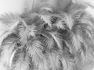 Plants collection 358 3Dモデル