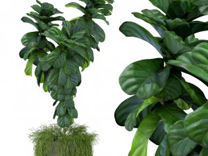 पौधों का संग्रह 359 3D मॉडल