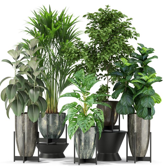 Plants collection 360 3D मॉडल .c4d .max .obj .3ds .fbx .stl .blend 