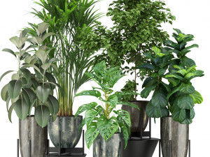 Plants collection 360 3D Model
