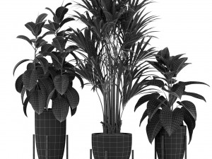 Plants collection 360 3D मॉडल