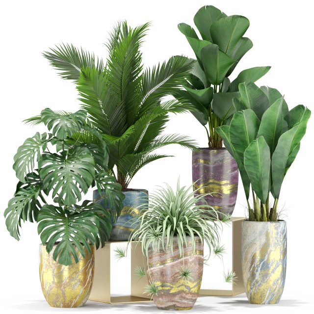 Plants collection 361 Model 3D .c4d .max .obj .3ds .fbx .stl .blend 