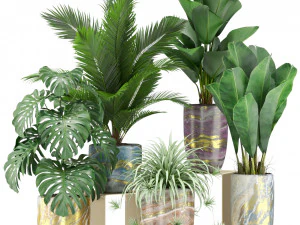 Коллекция растений 361 3D Модель