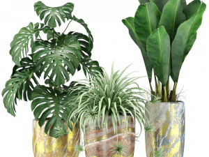 Plants collection 361 3D Model