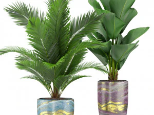 Plants collection 361 3D Model