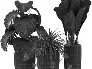 Plants collection 361 3D Model