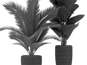 Plants collection 361 3D Model