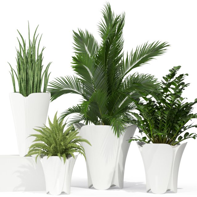 Plants collection 362 3Dモデル .c4d .max .obj .3ds .fbx .stl .blend 