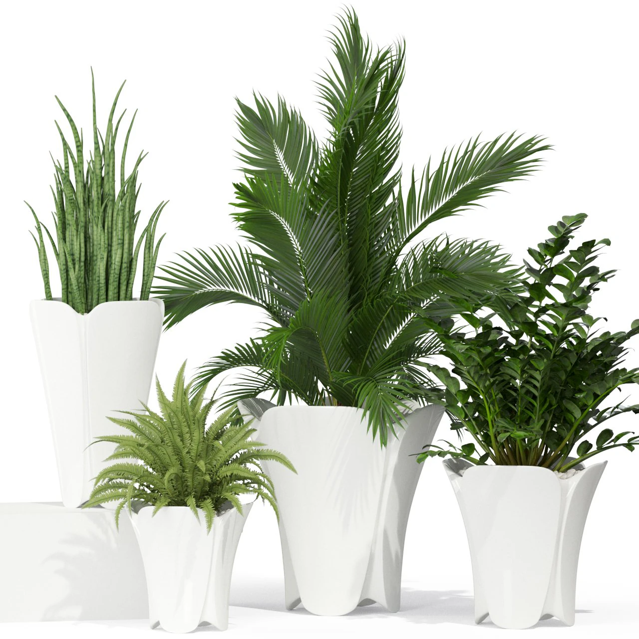 Plants collection 362 3D Model .c4d .max .obj .3ds .fbx .stl .blend 