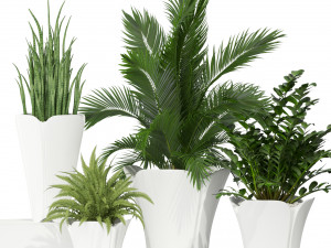 Plants collection 362 Model 3D