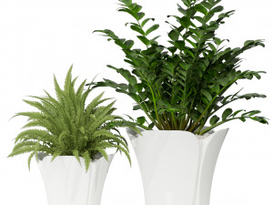 Plants collection 362 3Dモデル