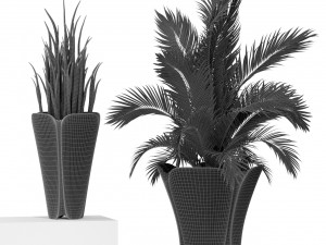 Plants collection 362 3Dモデル