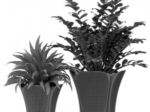 Plants collection 362 3Dモデル