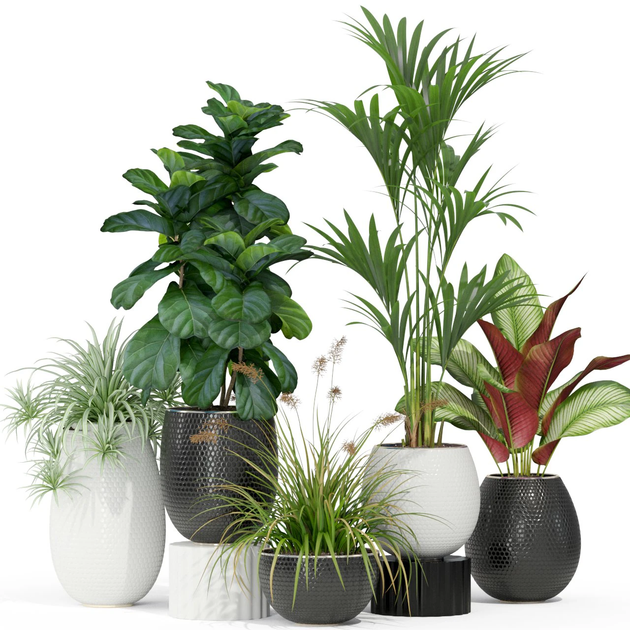 Plants collection 363 3D Model .c4d .max .obj .3ds .fbx .stl .blend