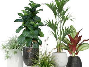 पौधों का संग्रह 363 3D मॉडल