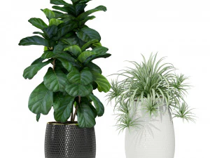 Plants collection 363 3D Model