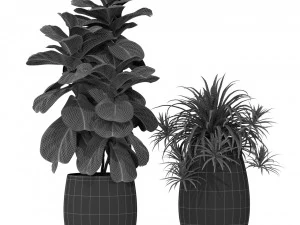 Plants collection 363 3D Model