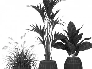 Plants collection 363 3D Model