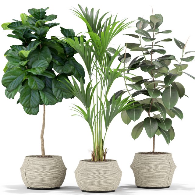 Plants collection 364 Modello 3D .c4d .max .obj .3ds .fbx .stl .blend 