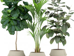 पौधों का संग्रह 364 3D मॉडल