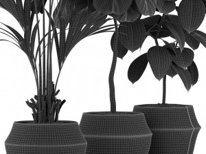 Plants collection 364 Modello 3D
