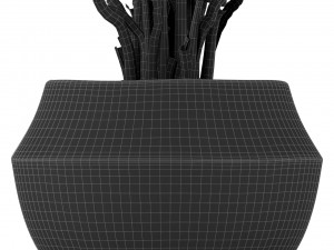 Plants collection 364 Modello 3D