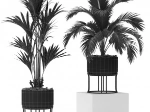 Plants collection 365 3D Model