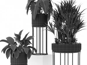 Plants collection 365 3D Model